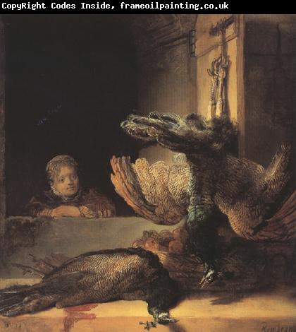 REMBRANDT Harmenszoon van Rijn Still life with two dead Peacocks and a Girl (mk33)